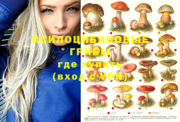 spice Алексин