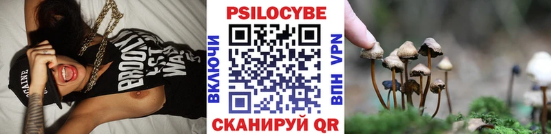 Псилоцибиновые грибы GOLDEN TEACHER Кольчугино